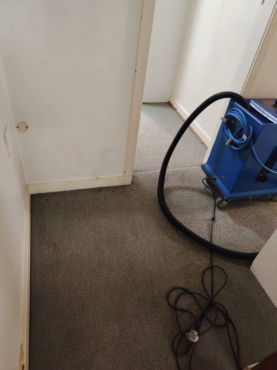 Estlas extraction machine and hose on a grey hallway carpet