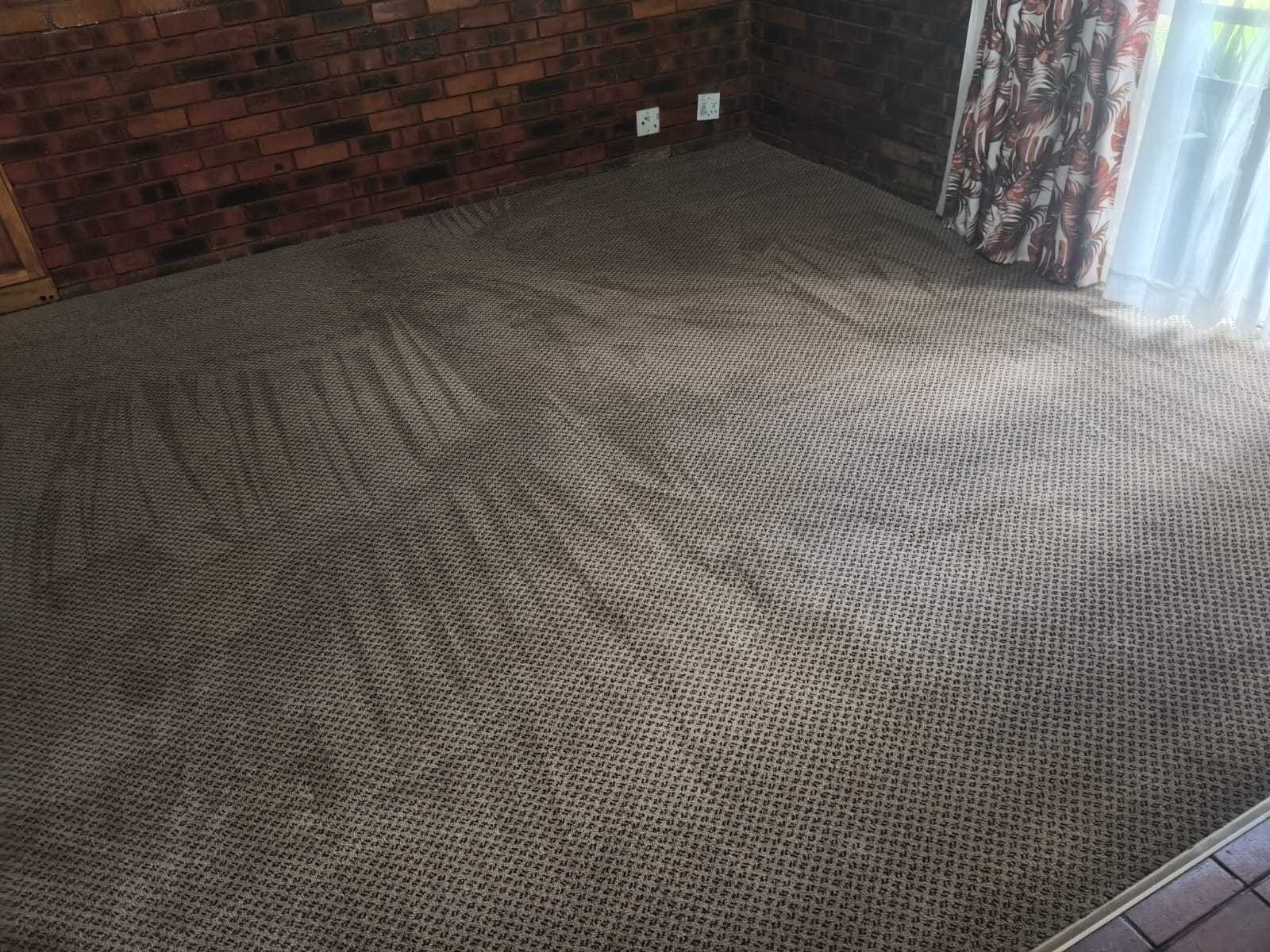 Lounge carpet after an Estlas deep clean, showing fresh grooming lines