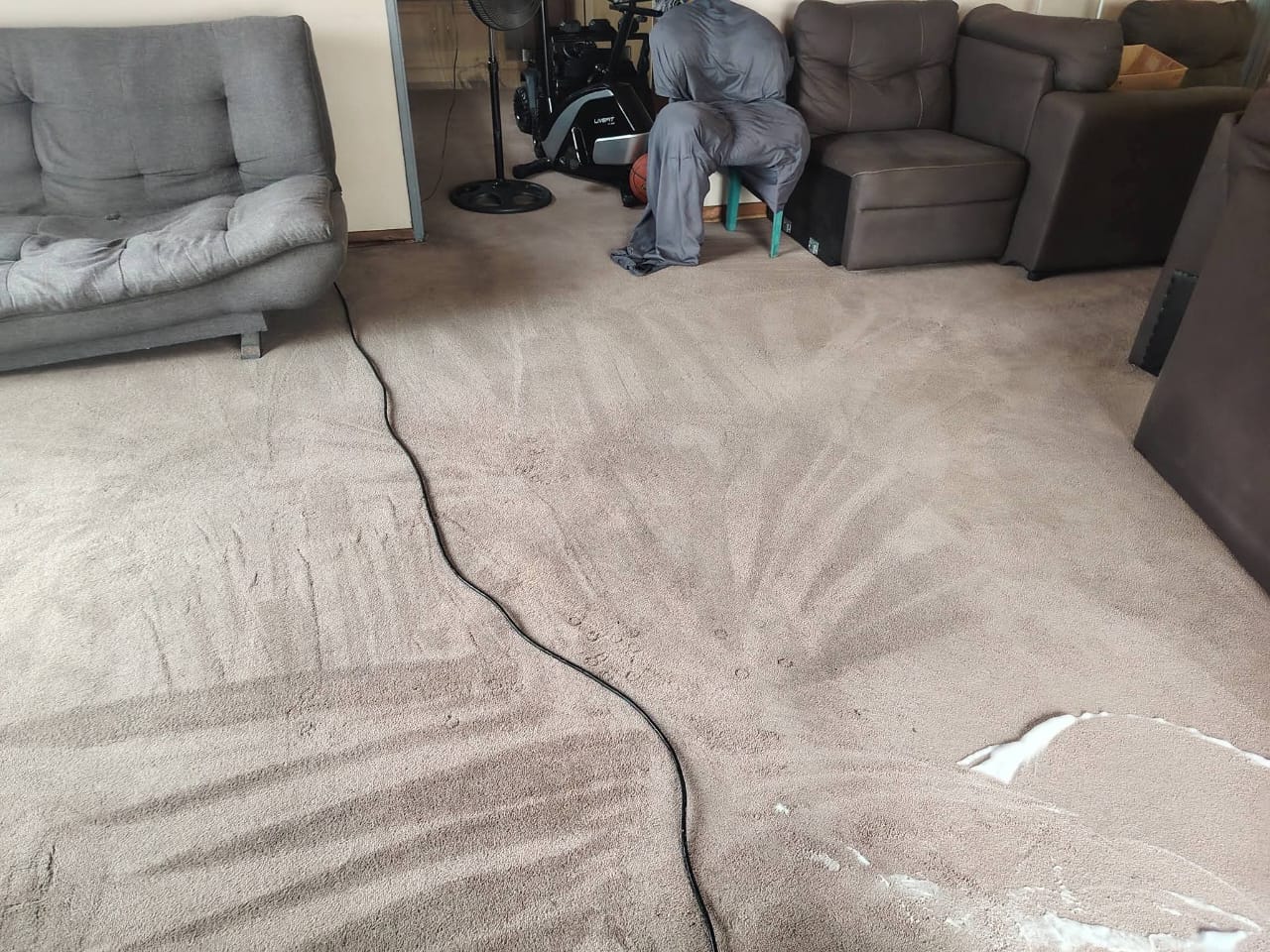 Lounge carpet extraction photographed during an Estlas job